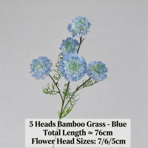 FSARCAN 5-Bloom Scabiosa — Blue