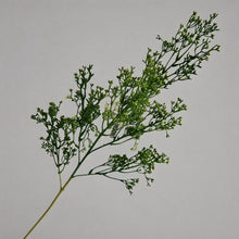 FSARCAN Baby's Breath Stem — Dark Green