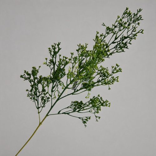 FSARCAN Baby's Breath Stem — Dark Green