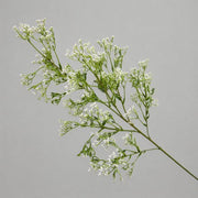 FSARCAN Baby's Breath Stem — White