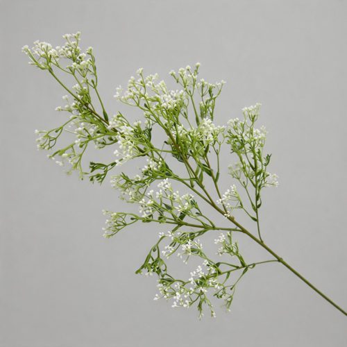 FSARCAN Baby's Breath Stem — White