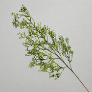 FSARCAN Baby's Breath Stem — Green