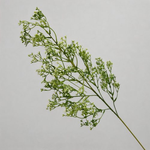 FSARCAN Baby's Breath Stem — Green