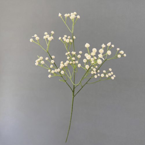 FSARCAN Baby's Breath Stem — Champagne