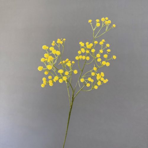 FSARCAN Baby's Breath Stem — Yellow