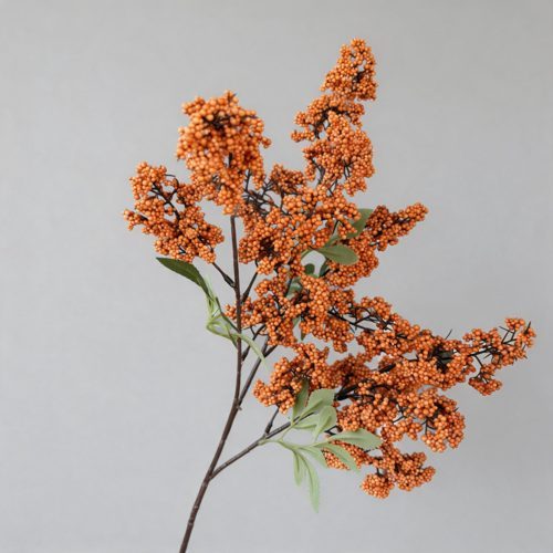 FSARCAN Winterberry Branch — Orange