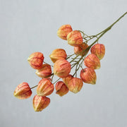 FSARCAN Chinese Lantern Branch — Orange
