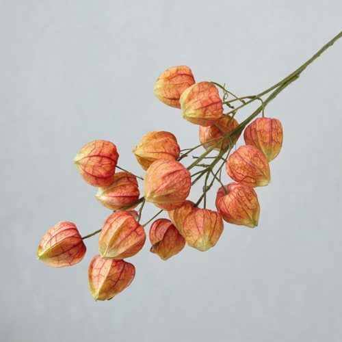 FSARCAN Chinese Lantern Branch — Orange