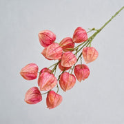 FSARCAN Chinese Lantern Branch — Deep Pink