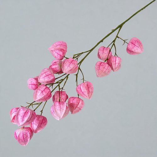 FSARCAN Chinese Lantern Branch — Pink