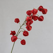 FSARCAN Chinese Lantern Branch — Red