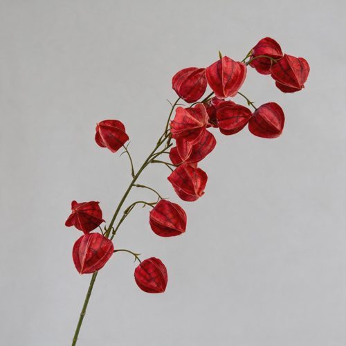 FSARCAN Chinese Lantern Branch — Red