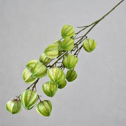 FSARCAN Chinese Lantern Branch — Green