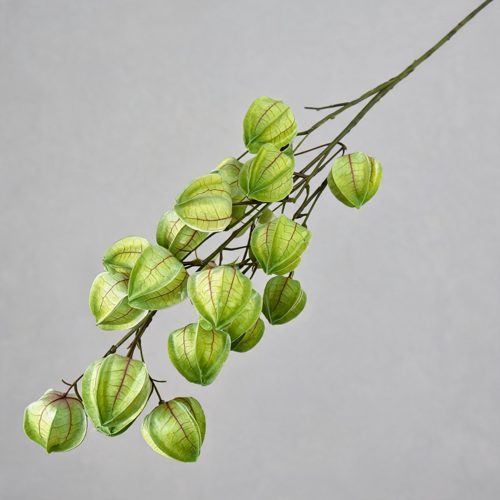 FSARCAN Chinese Lantern Branch — Green