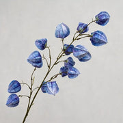 FSARCAN Chinese Lantern Branch — Blue