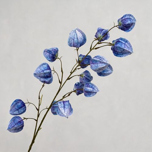 FSARCAN Chinese Lantern Branch — Blue