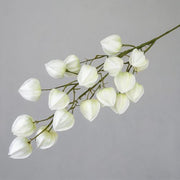 FSARCAN Chinese Lantern Branch — White