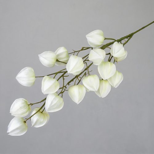 FSARCAN Chinese Lantern Branch — White