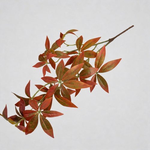FSARCAN Money Tree Foliage — Autumn Red