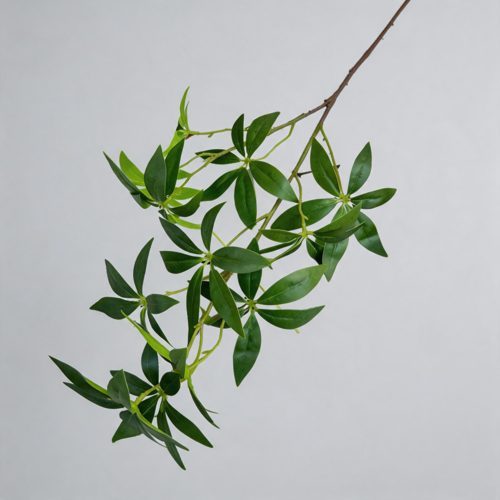FSARCAN Money Tree Foliage — Green