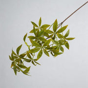 FSARCAN Money Tree Foliage — Yellow Green