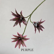 FSARCAN 3-Branch Dracaena Foliage — Purple