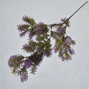 FSARCAN Asparagus Fern Branch — Purple