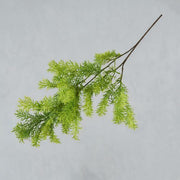 FSARCAN Asparagus Fern Branch — Green