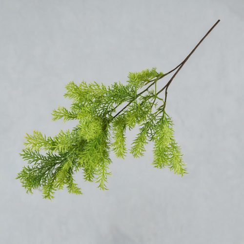 FSARCAN Asparagus Fern Branch — Green