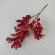 FSARCAN Asparagus Fern Branch — Burgundy