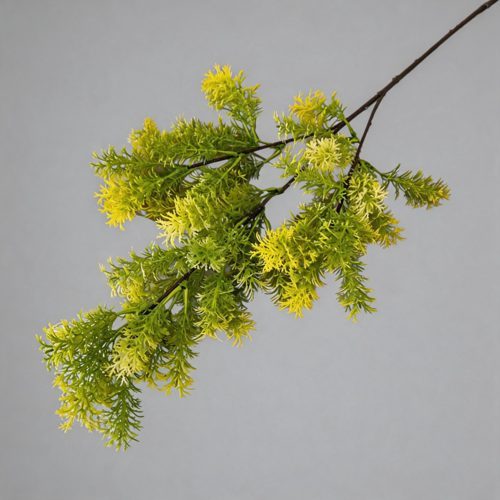 FSARCAN Asparagus Fern Branch — Yellow