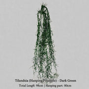 FSARCAN Trailing Grass Spray — Dark Green