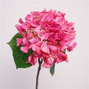 Rojo rosado — Hortensia artificial de pétalos rizados — 63 cm