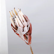 Champagne — Flocked Artificial Vintage Protea — 53 cm